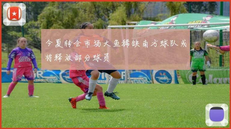 今夏转会市场大鱼稀缺南方球队或将释放部分球员