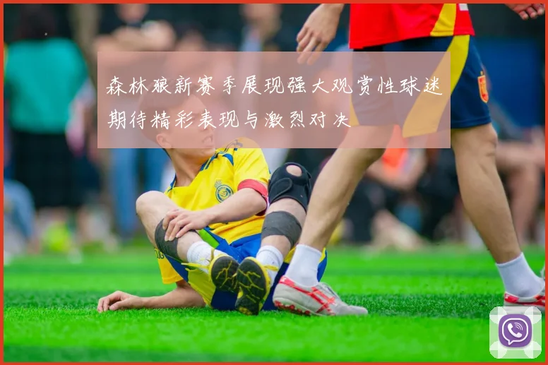 森林狼新赛季展现强大观赏性球迷期待精彩表现与激烈对决